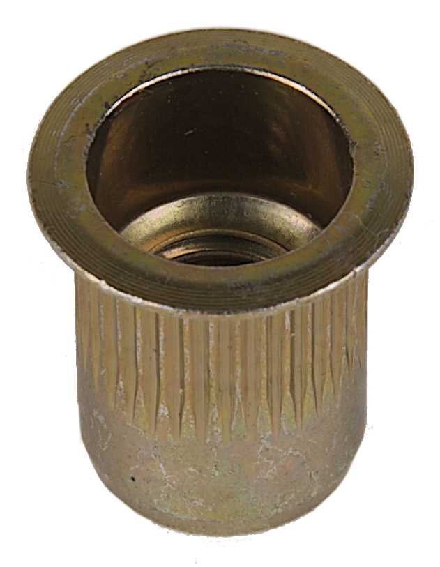 Rivets Threads for the South